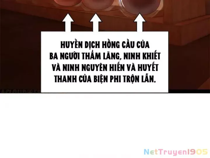 Chàng Rể Mạnh Nhất Lịch Sử