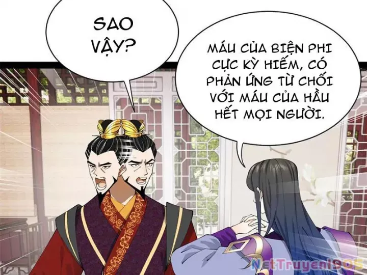 Chàng Rể Mạnh Nhất Lịch Sử