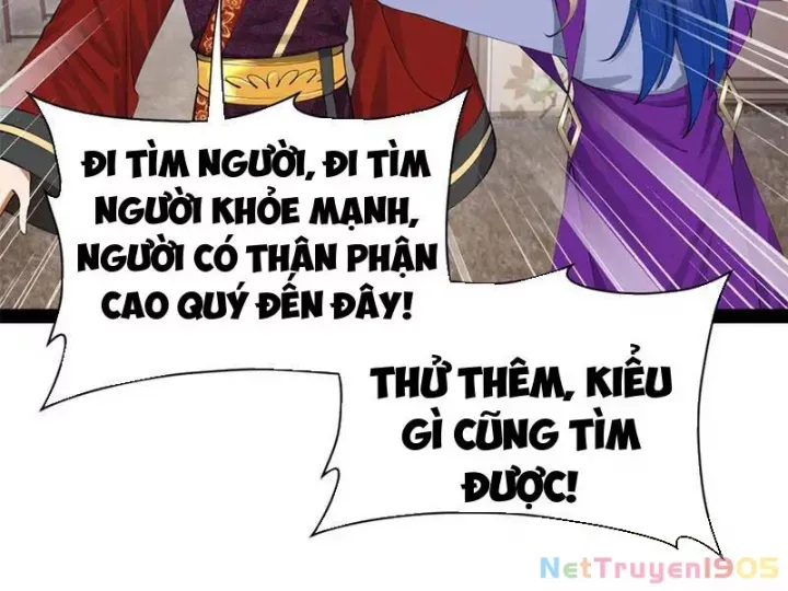Chàng Rể Mạnh Nhất Lịch Sử