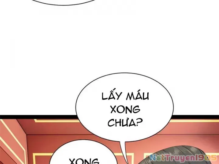 Chàng Rể Mạnh Nhất Lịch Sử