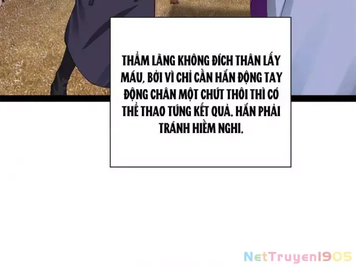 Chàng Rể Mạnh Nhất Lịch Sử