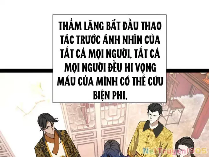 Chàng Rể Mạnh Nhất Lịch Sử