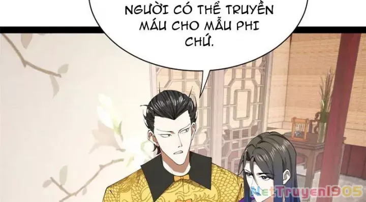 Chàng Rể Mạnh Nhất Lịch Sử