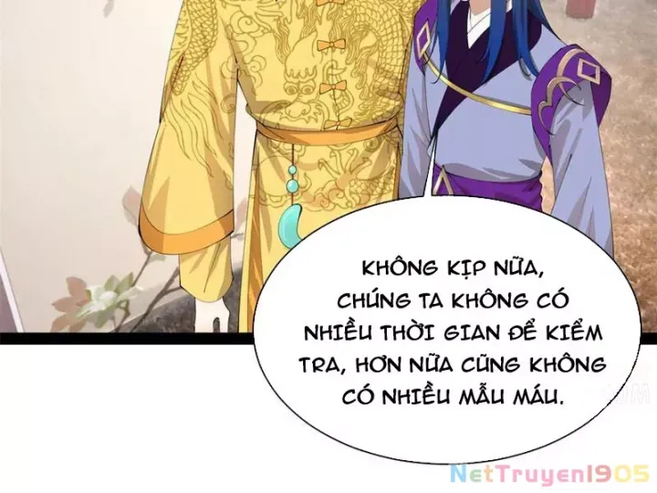 Chàng Rể Mạnh Nhất Lịch Sử