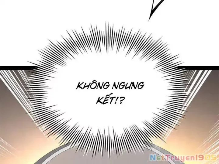 Chàng Rể Mạnh Nhất Lịch Sử