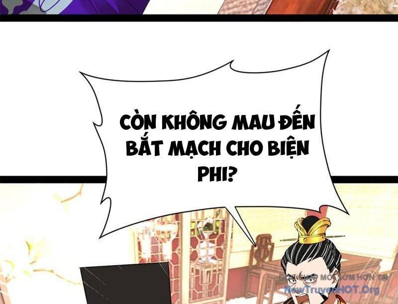Chàng Rể Mạnh Nhất Lịch Sử