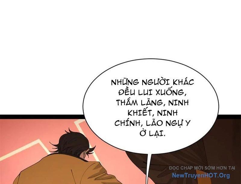 Chàng Rể Mạnh Nhất Lịch Sử