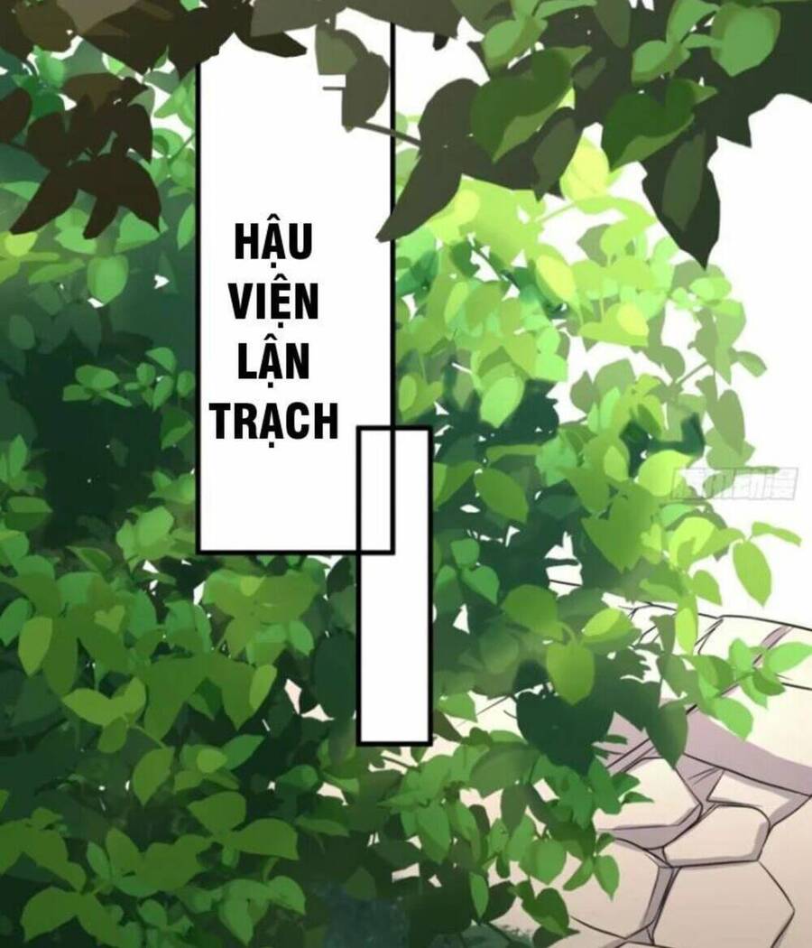Vợ tôi và tôi thống trị tam giới