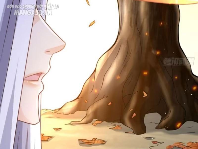 Vợ tôi và tôi thống trị tam giới