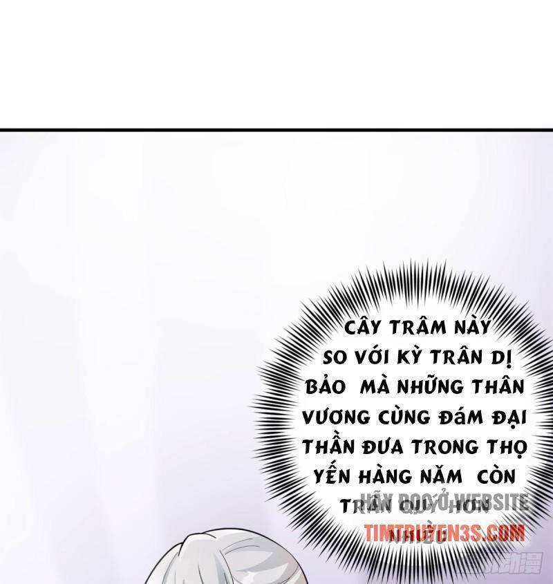 Vợ tôi và tôi thống trị tam giới