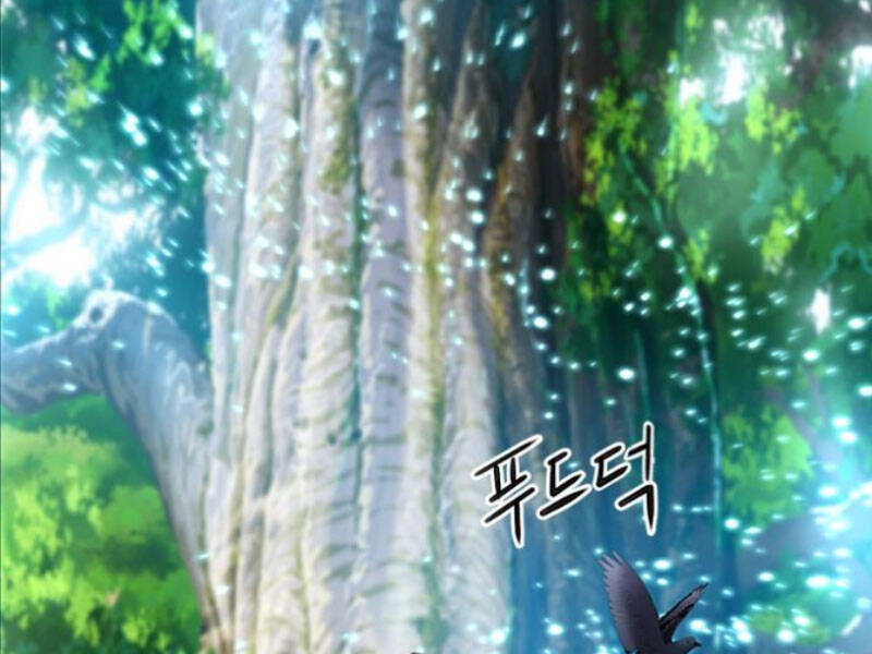 Druid Tại Ga Seoul