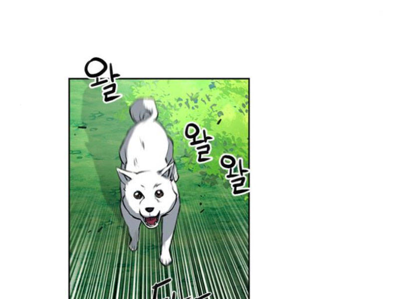 Druid Tại Ga Seoul