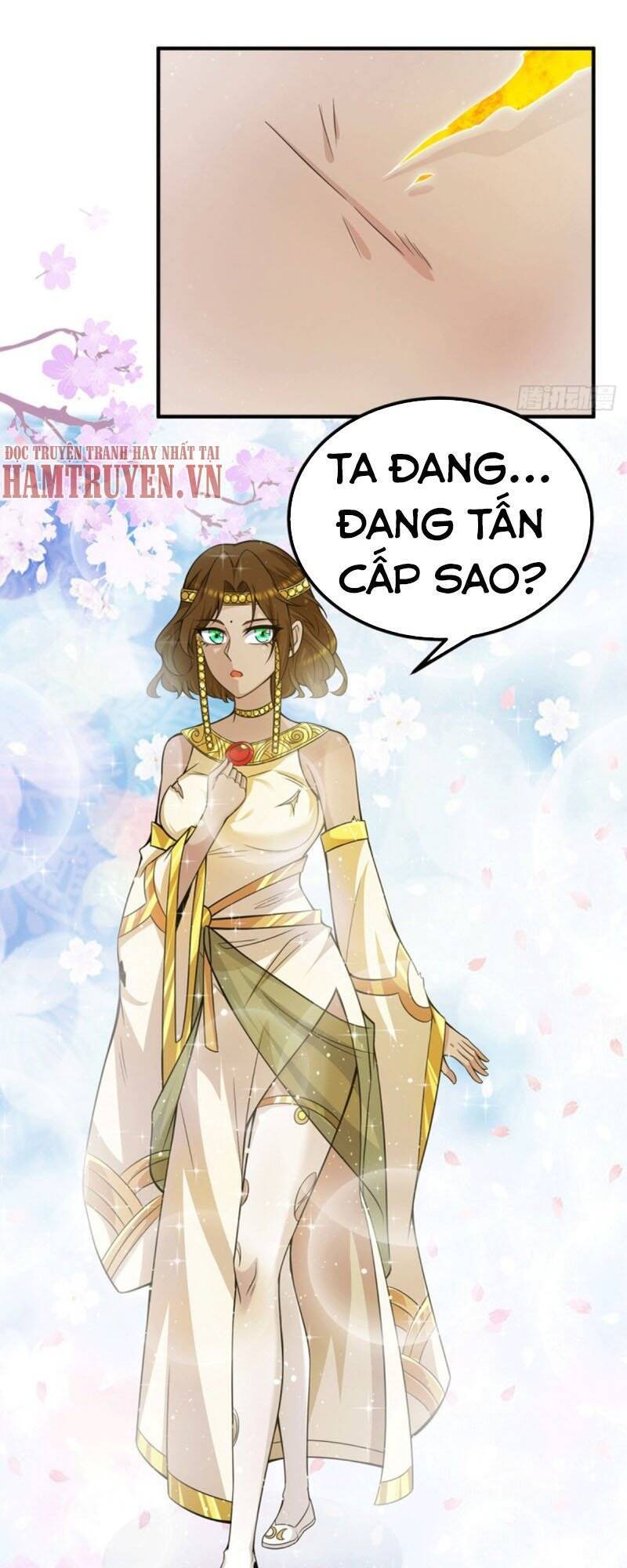 Ta Có Chín Nữ Đồ Đệ