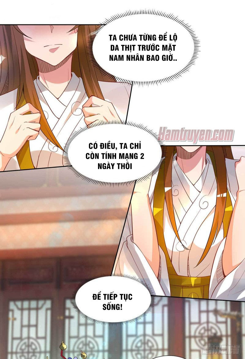 Ta Có Chín Nữ Đồ Đệ