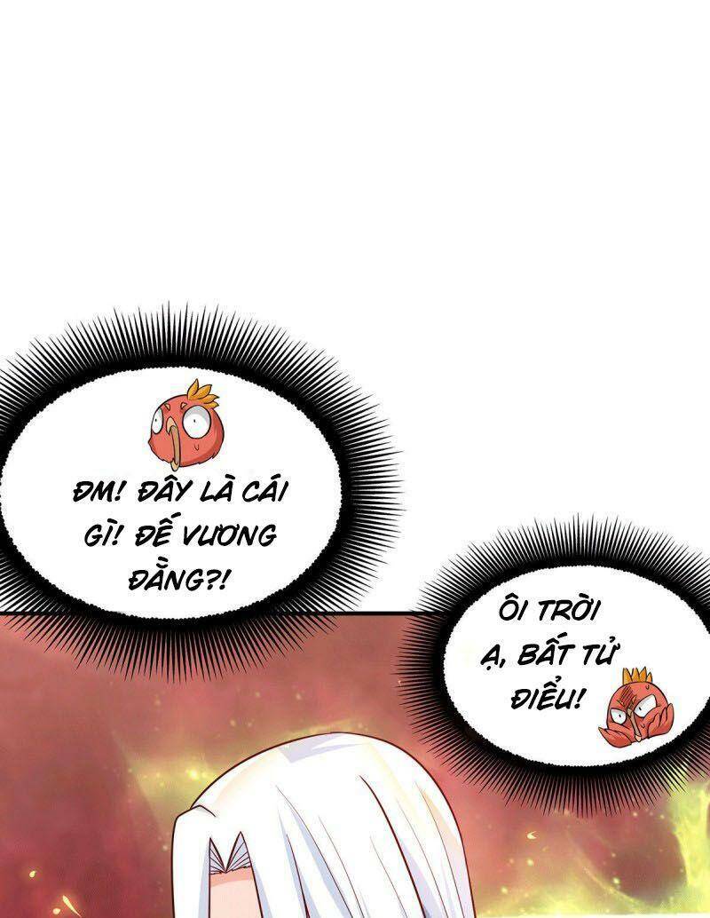 Ta Có Chín Nữ Đồ Đệ