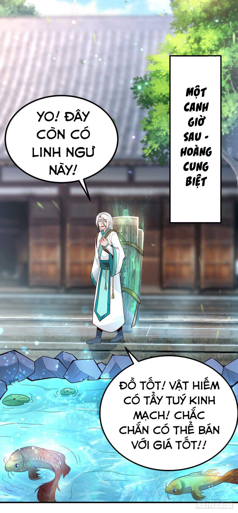 Ta Có Chín Nữ Đồ Đệ