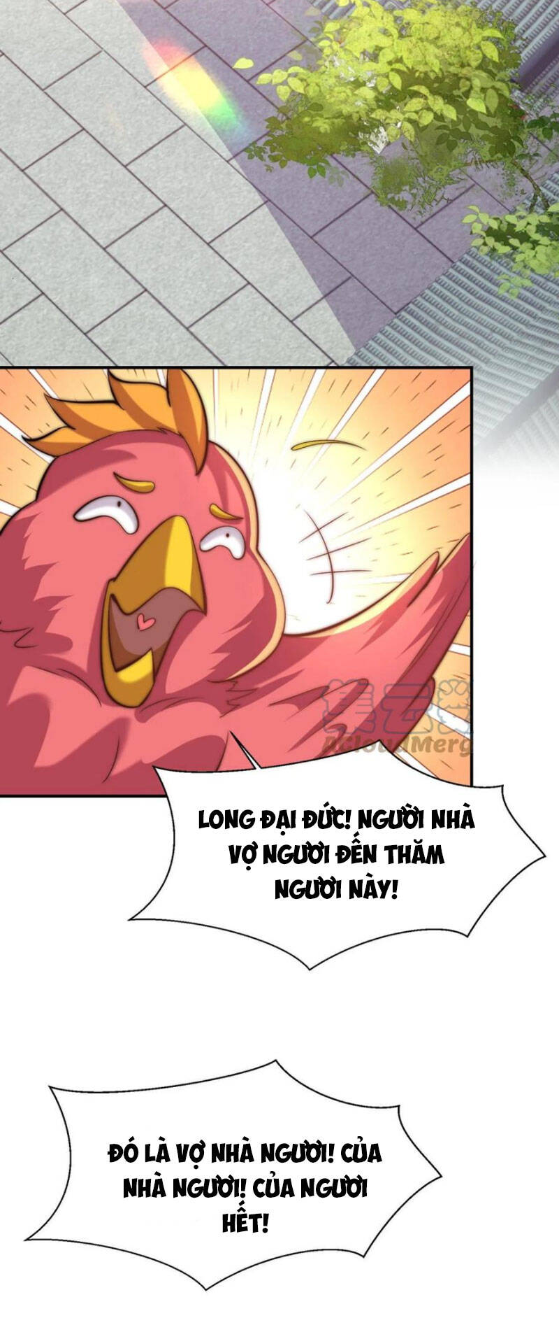 Ta Có Chín Nữ Đồ Đệ