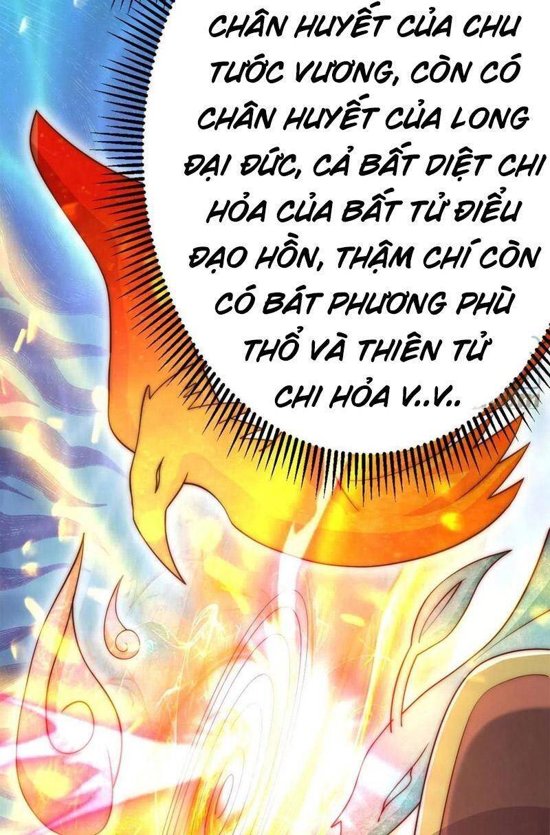 Ta Có Chín Nữ Đồ Đệ