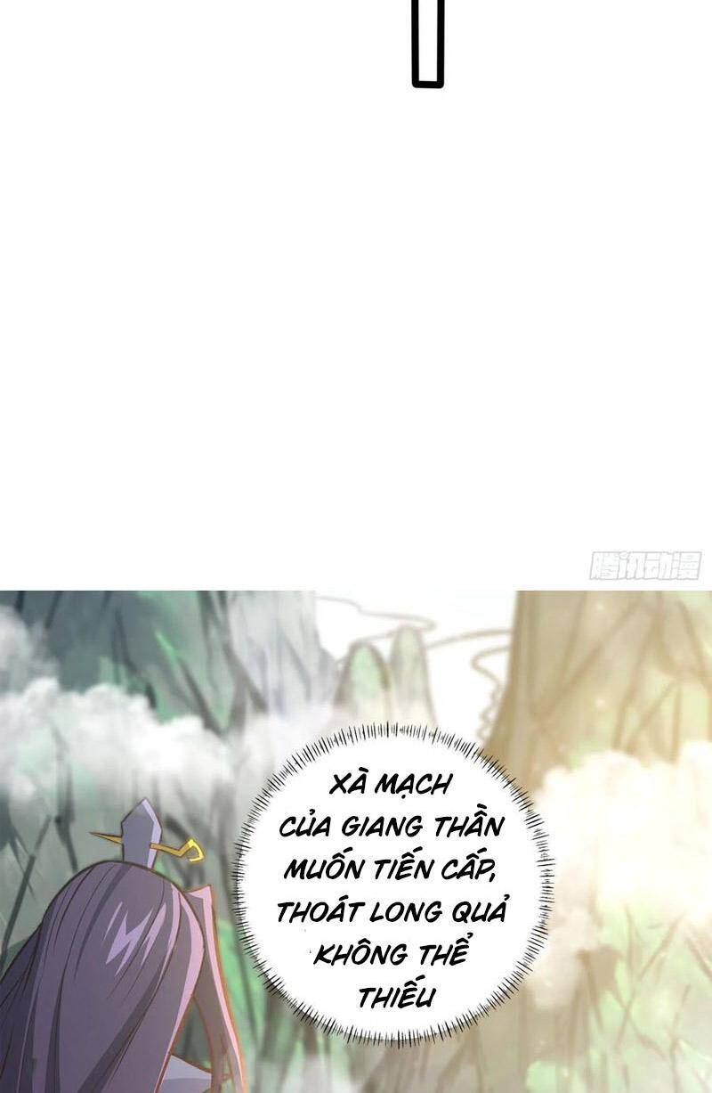 Ta Có Chín Nữ Đồ Đệ