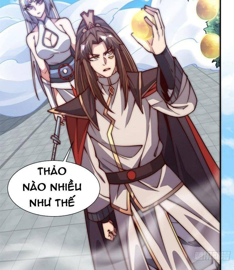 Ta Có Chín Nữ Đồ Đệ