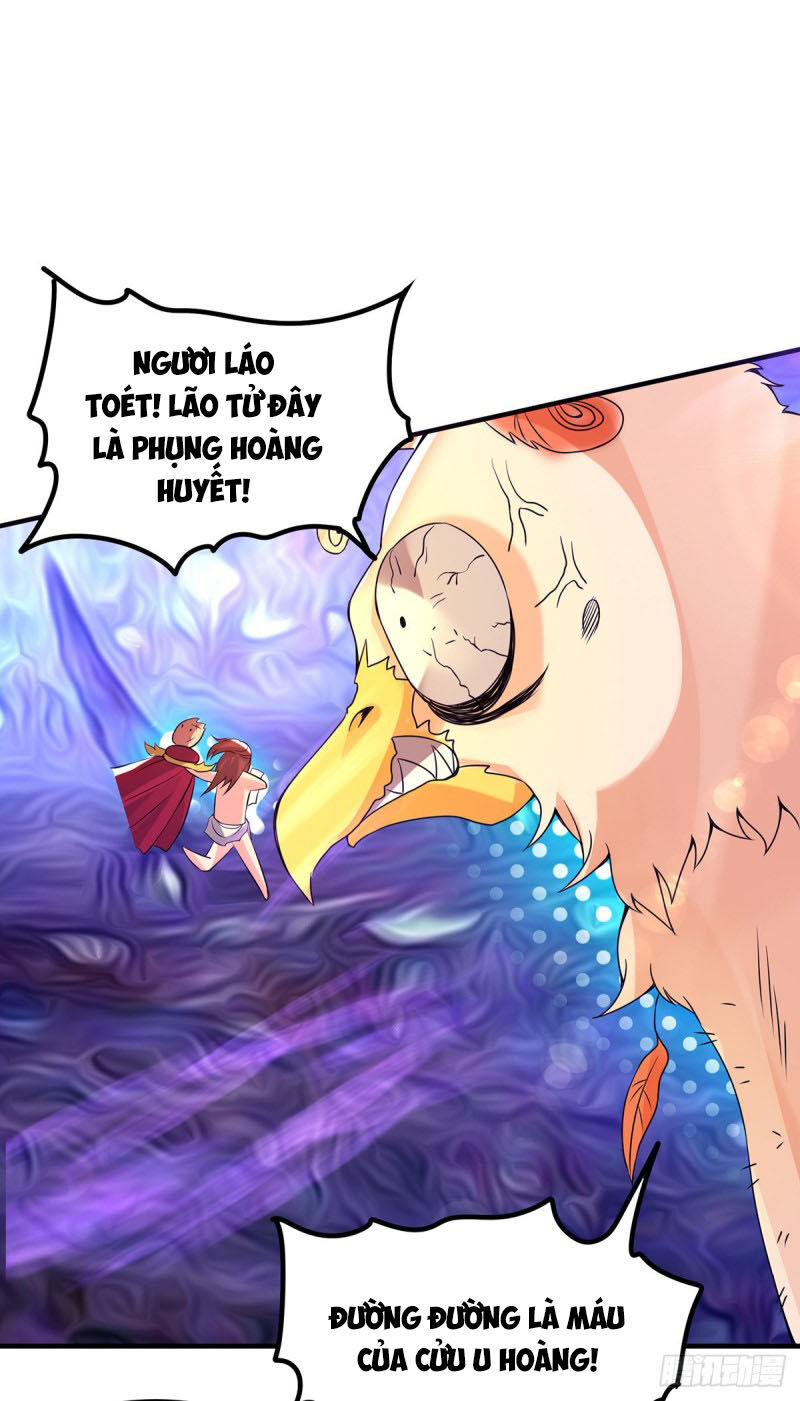 Ta Có Chín Nữ Đồ Đệ