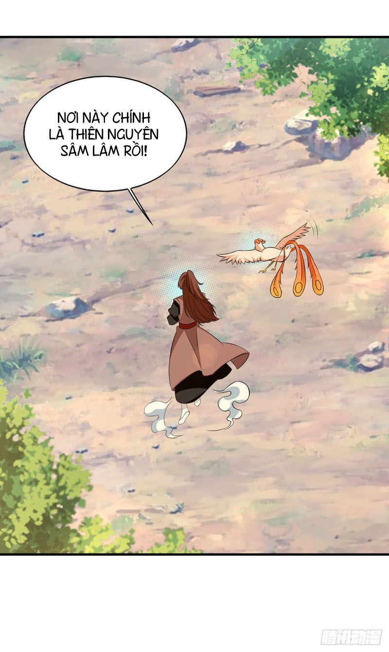 Ta Có Chín Nữ Đồ Đệ