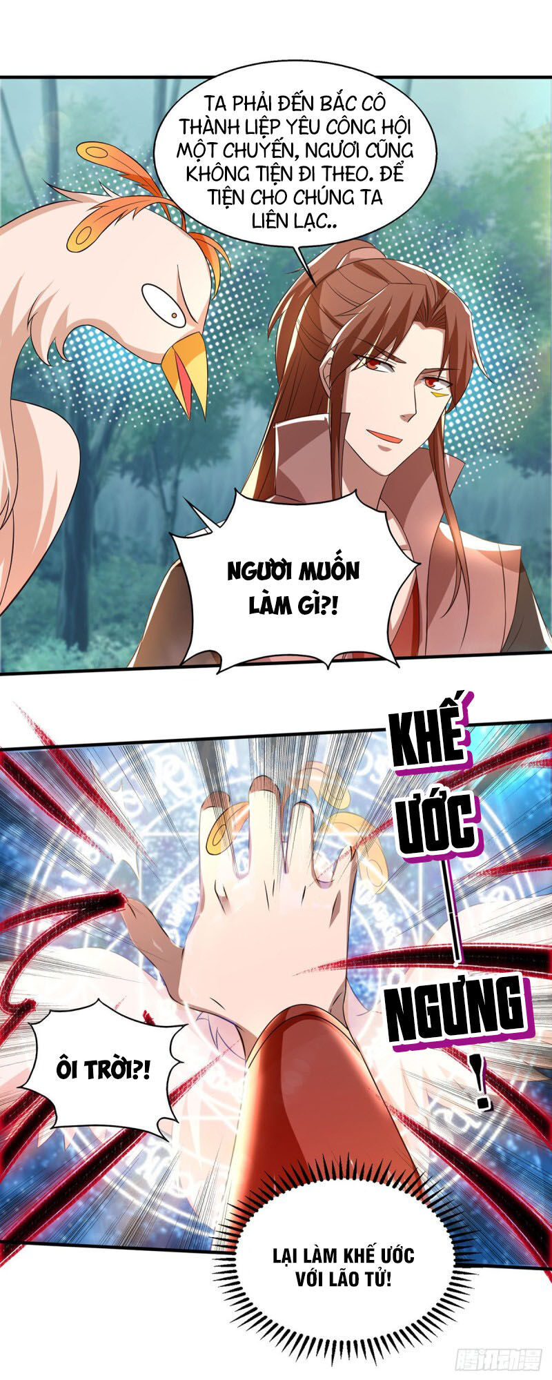 Ta Có Chín Nữ Đồ Đệ