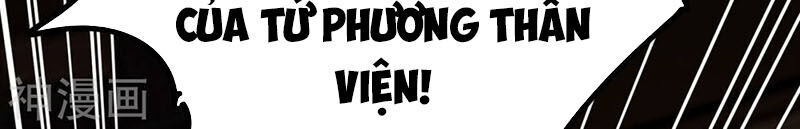 Ta Có Chín Nữ Đồ Đệ