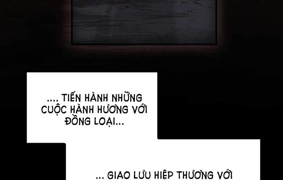 Ánh Sáng Cuối Con Đường