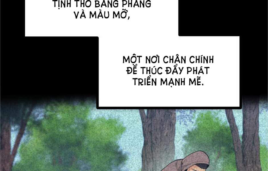 Ánh Sáng Cuối Con Đường