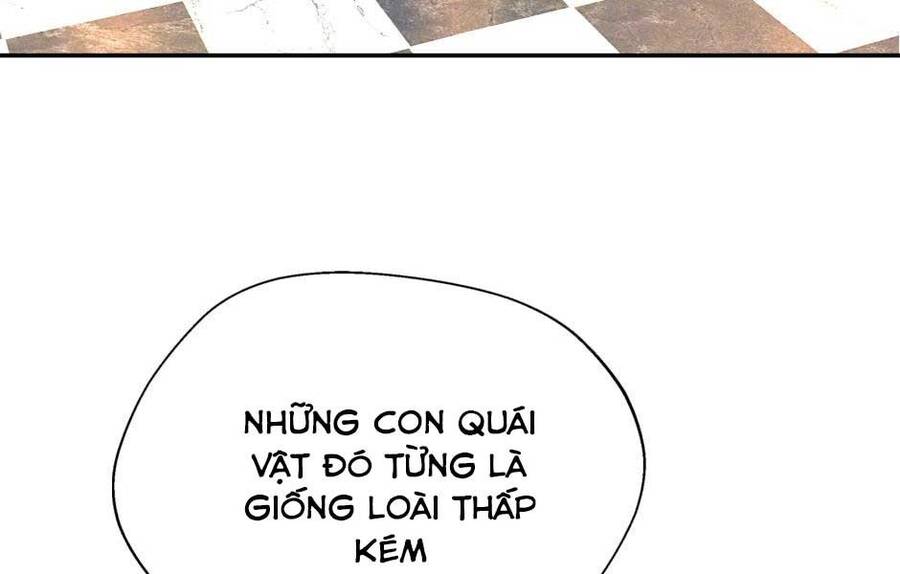 Ánh Sáng Cuối Con Đường