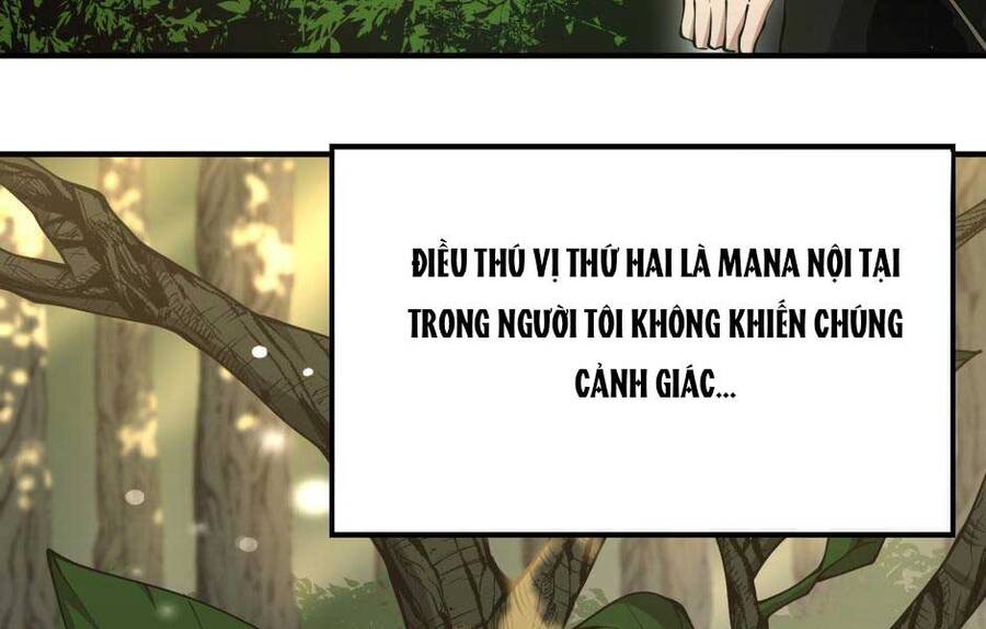 Ánh Sáng Cuối Con Đường