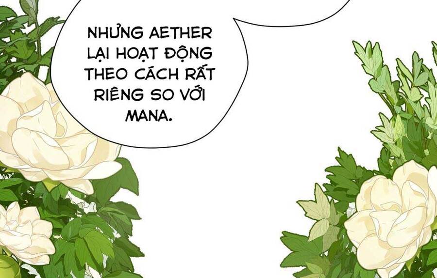 Ánh Sáng Cuối Con Đường