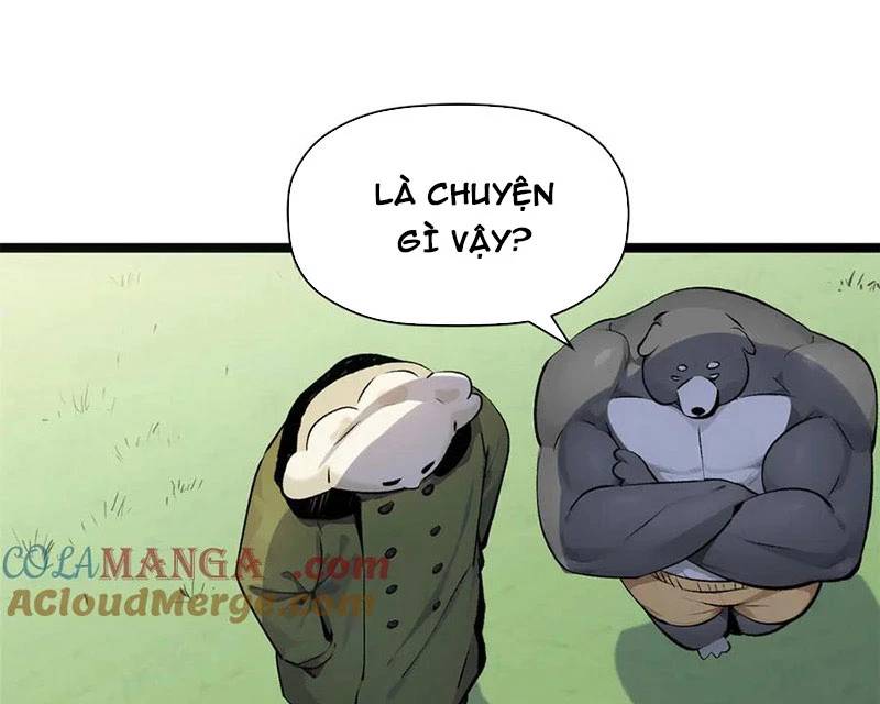 Đỉnh Cấp Khí Vận, Lặng Lẽ Tu Luyện Ngàn Năm