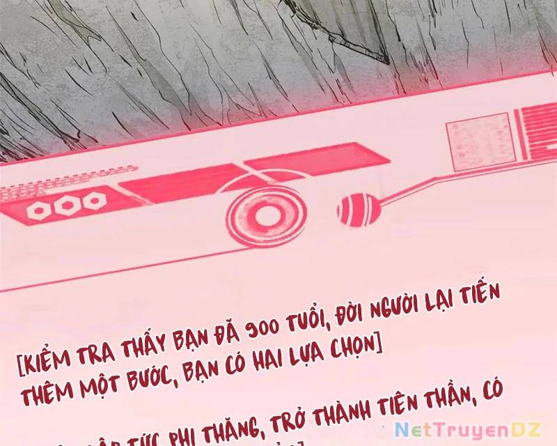 Đỉnh Cấp Khí Vận, Lặng Lẽ Tu Luyện Ngàn Năm