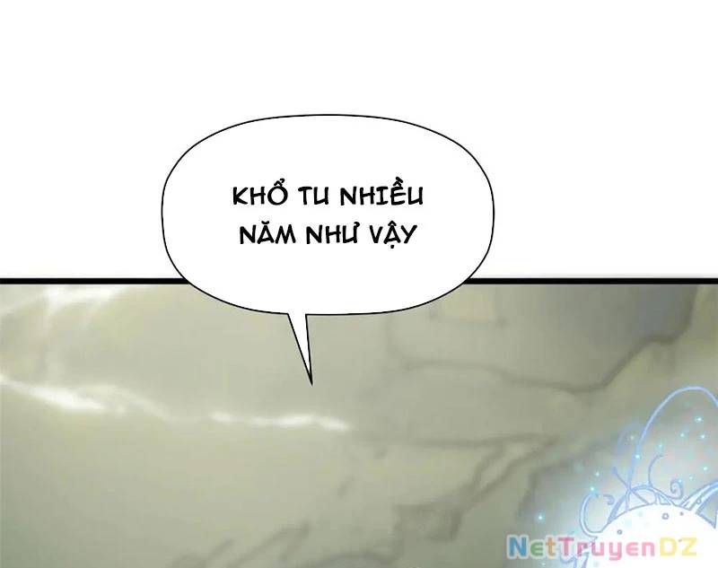 Đỉnh Cấp Khí Vận, Lặng Lẽ Tu Luyện Ngàn Năm