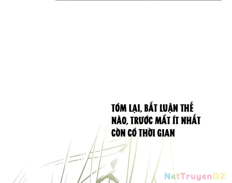 Đỉnh Cấp Khí Vận, Lặng Lẽ Tu Luyện Ngàn Năm