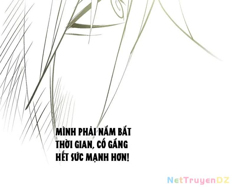 Đỉnh Cấp Khí Vận, Lặng Lẽ Tu Luyện Ngàn Năm