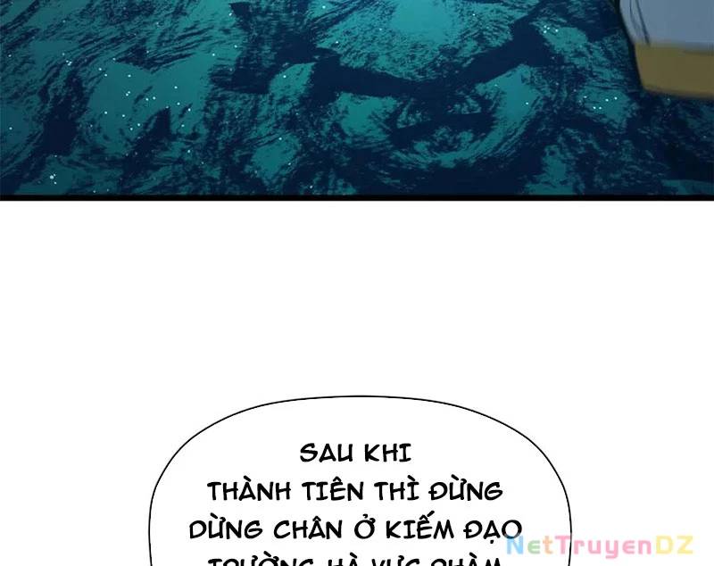 Đỉnh Cấp Khí Vận, Lặng Lẽ Tu Luyện Ngàn Năm