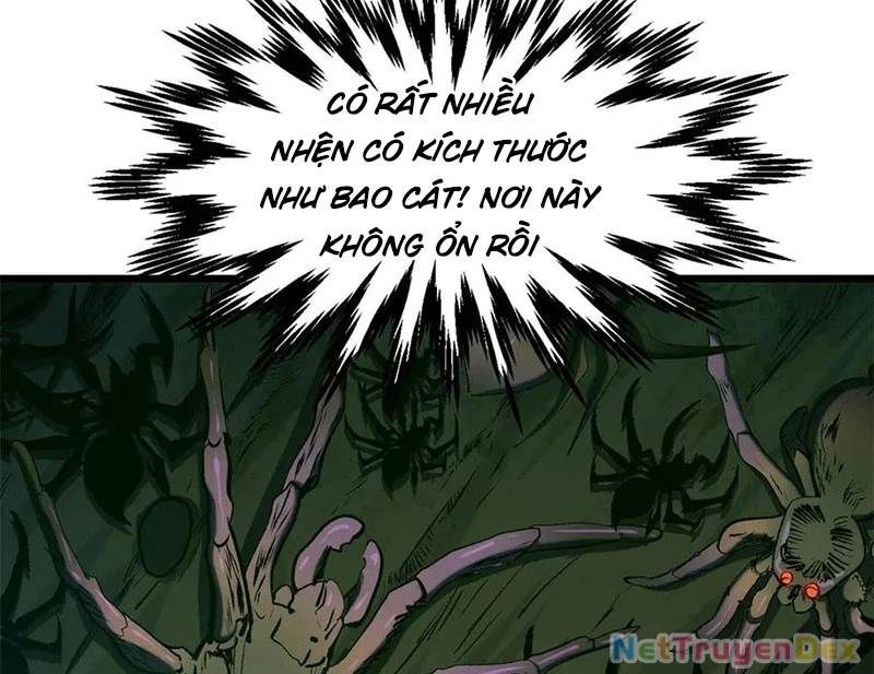 Đỉnh Cấp Khí Vận, Lặng Lẽ Tu Luyện Ngàn Năm
