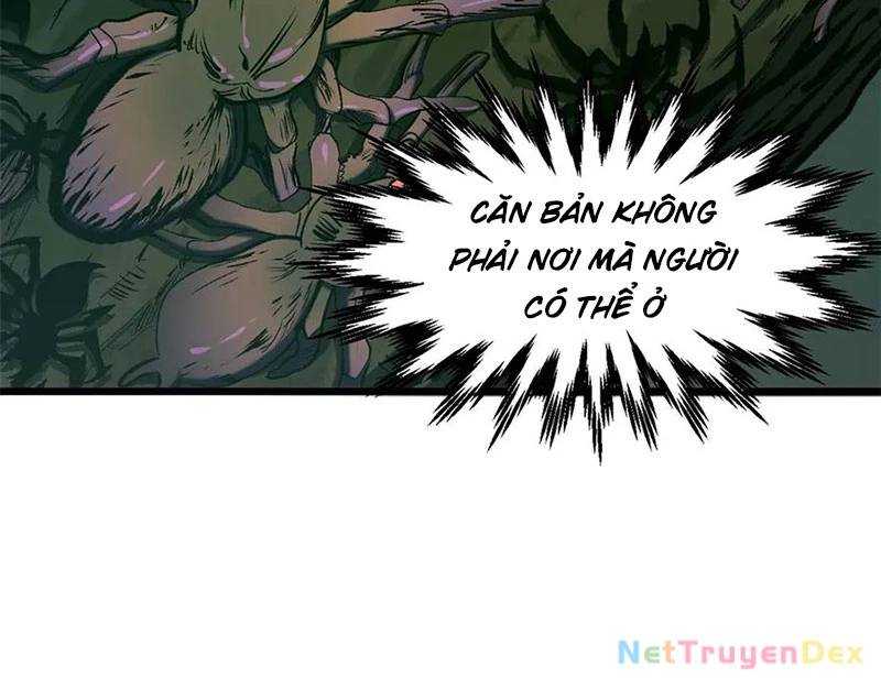 Đỉnh Cấp Khí Vận, Lặng Lẽ Tu Luyện Ngàn Năm
