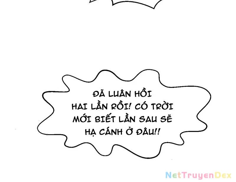 Đỉnh Cấp Khí Vận, Lặng Lẽ Tu Luyện Ngàn Năm