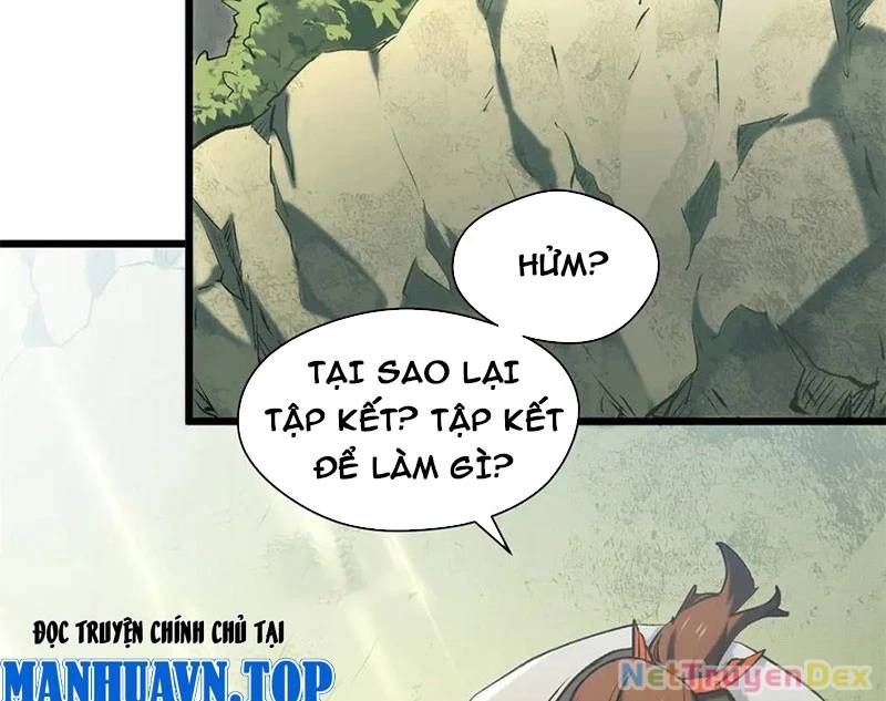 Đỉnh Cấp Khí Vận, Lặng Lẽ Tu Luyện Ngàn Năm