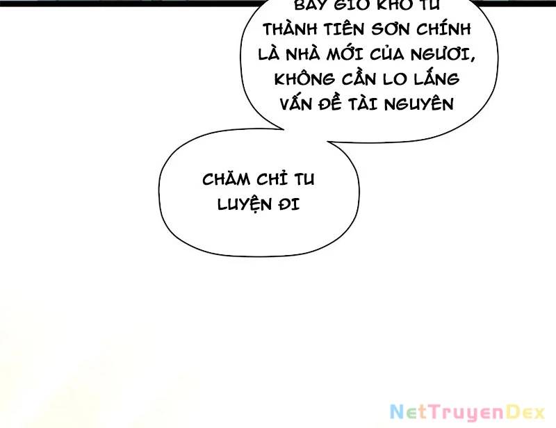 Đỉnh Cấp Khí Vận, Lặng Lẽ Tu Luyện Ngàn Năm