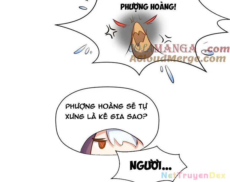 Đỉnh Cấp Khí Vận, Lặng Lẽ Tu Luyện Ngàn Năm