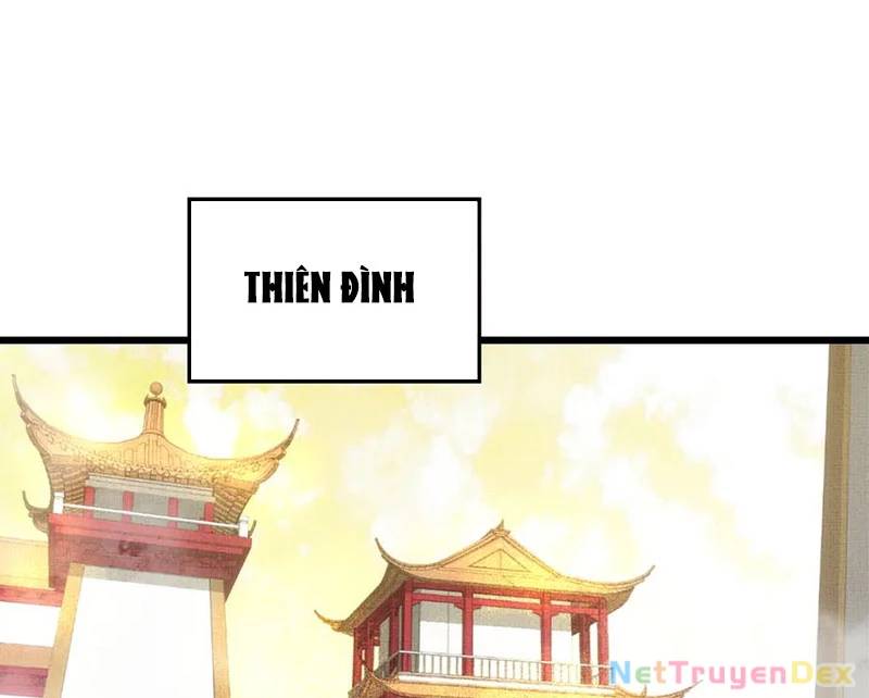 Đỉnh Cấp Khí Vận, Lặng Lẽ Tu Luyện Ngàn Năm