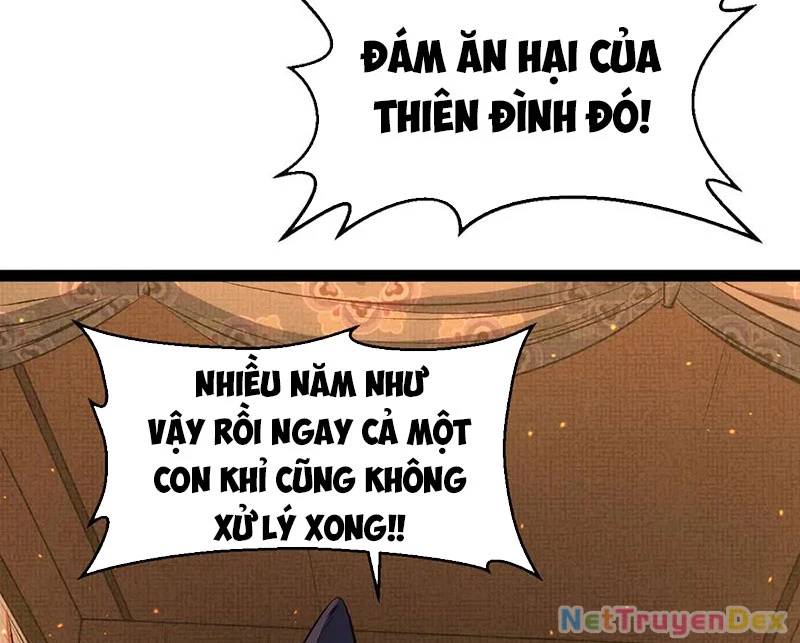 Đỉnh Cấp Khí Vận, Lặng Lẽ Tu Luyện Ngàn Năm