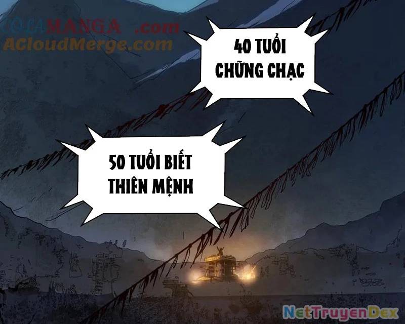 Đỉnh Cấp Khí Vận, Lặng Lẽ Tu Luyện Ngàn Năm