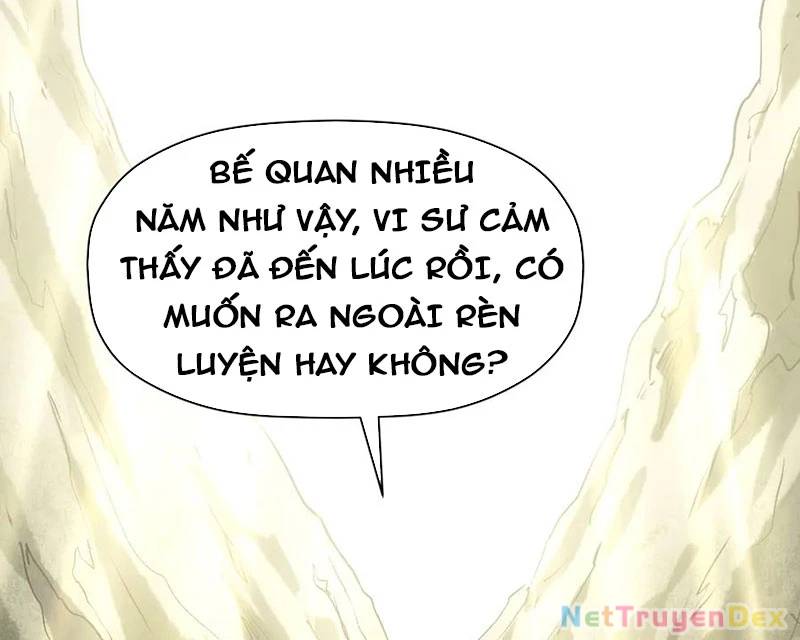 Đỉnh Cấp Khí Vận, Lặng Lẽ Tu Luyện Ngàn Năm