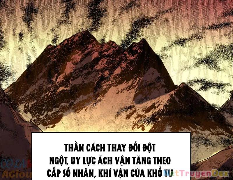Đỉnh Cấp Khí Vận, Lặng Lẽ Tu Luyện Ngàn Năm